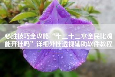 必胜技巧全攻略“十三十三水全民比鸡能开挂吗”详细外挂透视辅助软件教程