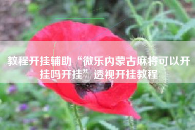 教程开挂辅助“微乐内蒙古麻将可以开挂吗开挂”透视开挂教程