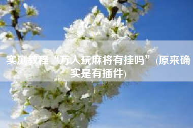 实测教程“万人玩麻将有挂吗”(原来确实是有插件)