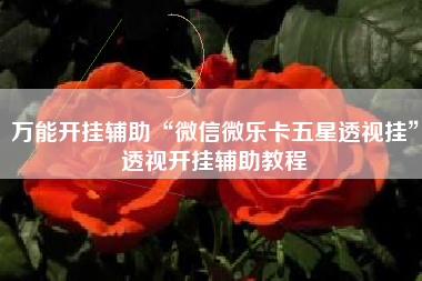 万能开挂辅助“微信微乐卡五星透视挂”透视开挂辅助教程