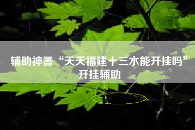 辅助神器“天天福建十三水能开挂吗”开挂辅助
