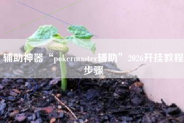 辅助神器“pokermaster辅助”2026开挂教程步骤