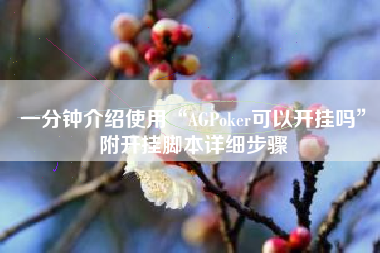 一分钟介绍使用“AGPoker可以开挂吗”附开挂脚本详细步骤