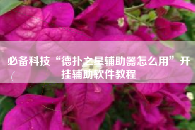 必备科技“德扑之星辅助器怎么用”开挂辅助软件教程 必备科技“德扑之星辅助器怎么用”开挂辅助软件教程