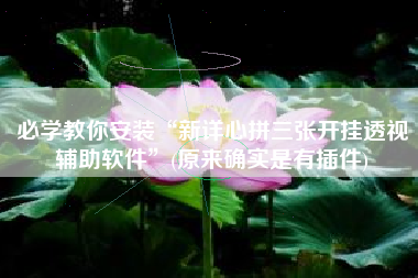 必学教你安装“新详心拼三张开挂透视辅助软件”(原来确实是有插件)