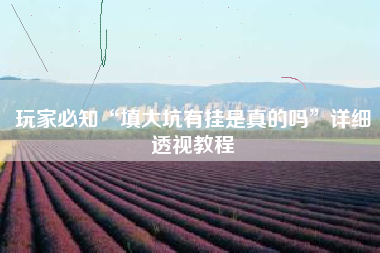 玩家必知“填大坑有挂是真的吗”详细透视教程