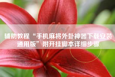 辅助教程“手机麻将外卦神器下载安装通用版”附开挂脚本详细步骤