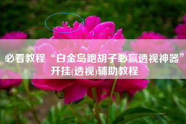 必看教程“白金岛跑胡子必赢透视神器”开挂(透视)辅助教程