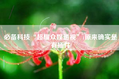 必备科技“超耀众娱透视”(原来确实是有插件