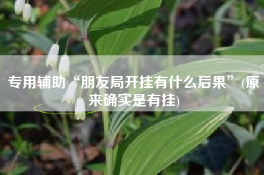 专用辅助“朋友局开挂有什么后果”(原来确实是有挂)