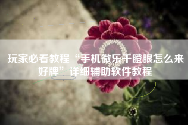 玩家必看教程“手机微乐干瞪眼怎么来好牌”详细辅助软件教程