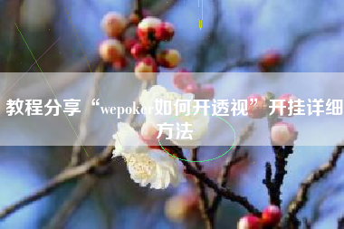 教程分享“wepoker如何开透视”开挂详细方法