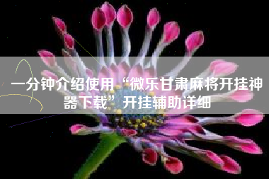 一分钟介绍使用“微乐甘肃麻将开挂神器下载”开挂辅助详细