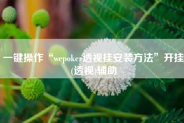 一键操作“wepoker透视挂安装方法”开挂(透视)辅助