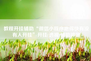 教程开挂辅助“微信小程序跑得快有没有人开挂”开挂(透视)辅助神器 教程开挂辅助“微信小程序跑得快有没有人开挂”开挂(透视)辅助神器