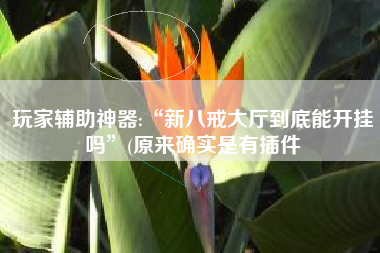 玩家辅助神器:“新八戒大厅到底能开挂吗”(原来确实是有插件 玩家辅助神器:“新八戒大厅到底能开挂吗”(原来确实是有插件