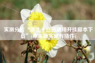 实测分析“浙北十三道通用开挂脚本下载”(原来确实是有插件)