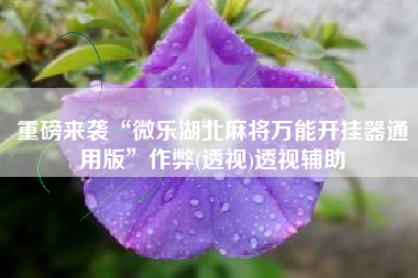 重磅来袭“微乐湖北麻将万能开挂器通用版”作弊(透视)透视辅助