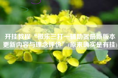 开挂教程“微乐三打一辅助器最新版本更新内容与理念评价”(原来确实是有挂)