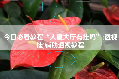 今日必看教程“人皇大厅有挂吗”(透视挂)辅助透视教程