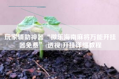 玩家辅助神器“微乐海南麻将万能开挂器免费”(透视)开挂详细教程
