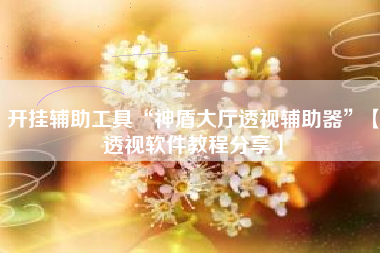 开挂辅助工具“神盾大厅透视辅助器”【透视软件教程分享】