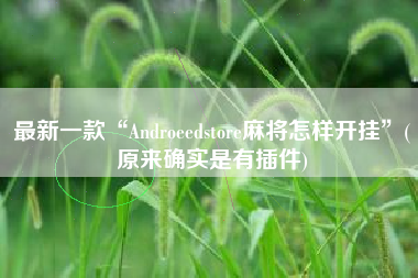 最新一款“Androeedstore麻将怎样开挂”(原来确实是有插件)