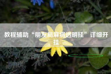 教程辅助“朋友局麻将透明挂”详细开挂