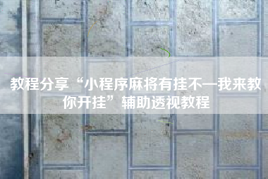 教程分享“小程序麻将有挂不—我来教你开挂”辅助透视教程