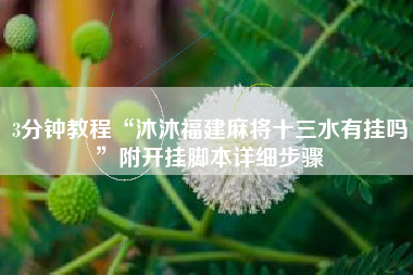 3分钟教程“沐沐福建麻将十三水有挂吗”附开挂脚本详细步骤