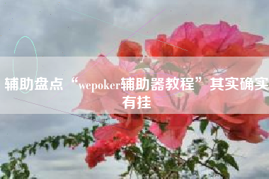 辅助盘点“wepoker辅助器教程”其实确实有挂