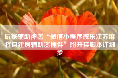 玩家辅助神器“微信小程序微乐江苏麻将自建房辅助器插件”附开挂脚本详细步