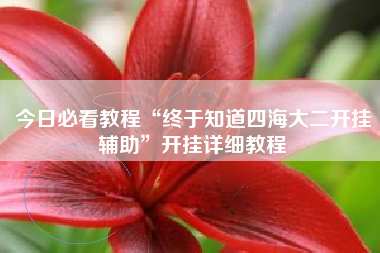 今日必看教程“终于知道四海大二开挂辅助”开挂详细教程