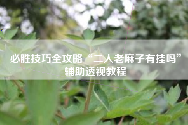 必胜技巧全攻略“二人老麻子有挂吗”辅助透视教程