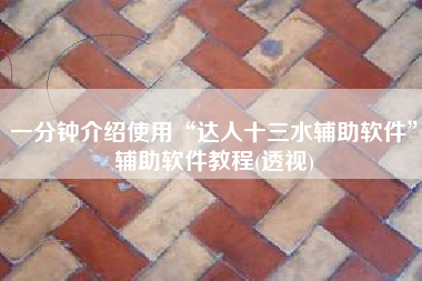 一分钟介绍使用“达人十三水辅助软件”辅助软件教程(透视) 一分钟介绍使用“达人十三水辅助软件”辅助软件教程(透视)