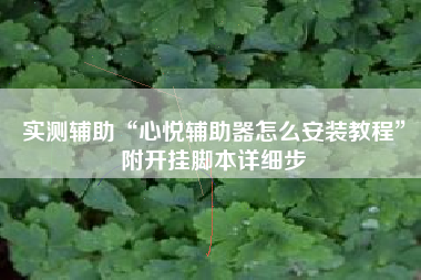 实测辅助“心悦辅助器怎么安装教程”附开挂脚本详细步 实测辅助“心悦辅助器怎么安装教程”附开挂脚本详细步