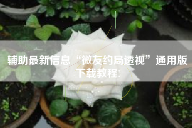 辅助最新信息“微友约局透视”通用版下载教程!