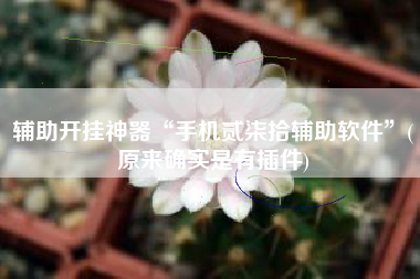 辅助开挂神器“手机贰柒拾辅助软件”(原来确实是有插件) 辅助开挂神器“手机贰柒拾辅助软件”(原来确实是有插件)