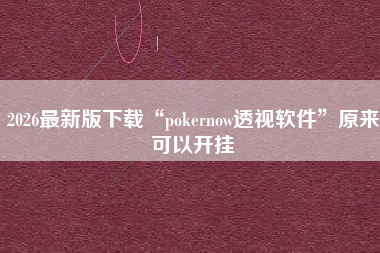 2026最新版下载“pokernow透视软件”原来可以开挂