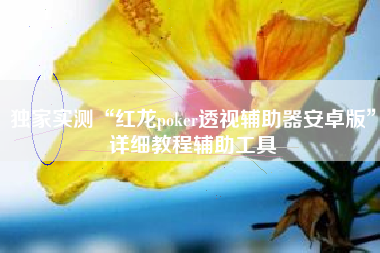 独家实测“红龙poker透视辅助器安卓版”详细教程辅助工具 独家实测“红龙poker透视辅助器安卓版”详细教程辅助工具