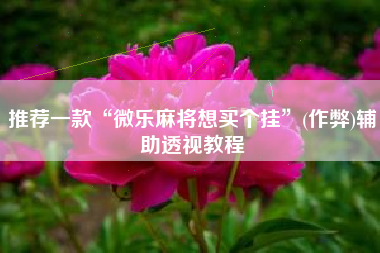 推荐一款“微乐麻将想买个挂”(作弊)辅助透视教程