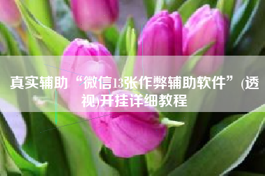 真实辅助“微信13张作弊辅助软件”(透视)开挂详细教程 真实辅助“微信13张作弊辅助软件”(透视)开挂详细教程