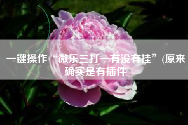 一键操作“微乐三打一有没有挂”(原来确实是有插件 一键操作“微乐三打一有没有挂”(原来确实是有插件