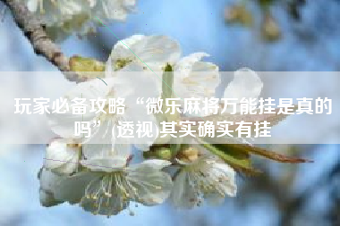 玩家必备攻略“微乐麻将万能挂是真的吗”(透视)其实确实有挂