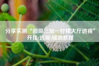 分享实测“超级三加一柠檬大厅透视”开挂(透视)辅助教程 分享实测“超级三加一柠檬大厅透视”开挂(透视)辅助教程