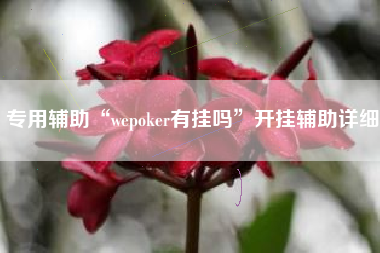 专用辅助“wepoker有挂吗”开挂辅助详细 专用辅助“wepoker有挂吗”开挂辅助详细