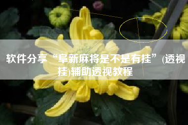 软件分享“阜新麻将是不是有挂”(透视挂)辅助透视教程