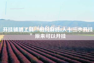 开挂辅助工具“相约麻将8人十三水开挂”原来可以开挂