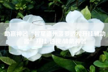 助赢神器“智星德州菠萝透视开挂辅助器”开挂(透视)辅助神器 助赢神器“智星德州菠萝透视开挂辅助器”开挂(透视)辅助神器