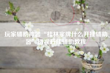 玩家辅助神器“桂林字牌什么开挂辅助器”透视开挂辅助教程 玩家辅助神器“桂林字牌什么开挂辅助器”透视开挂辅助教程